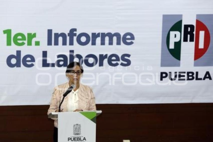 INFORME ROCÍO GARCÍA OLMEDO