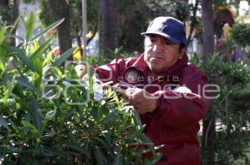 ESTRATEGIA ÁREA VERDES