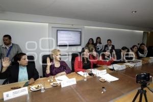 CONGRESO . COMISIÓN DERECHOS HUMANOS