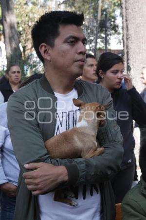 BENDICIÓN DE MASCOTAS