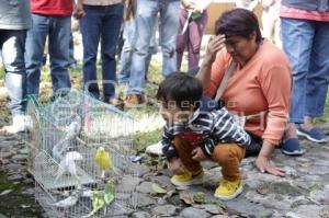 BENDICIÓN DE MASCOTAS