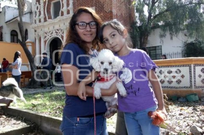 ENDICIÓN DE MASCOTAS