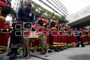 CRUZ ROJA .  USAR