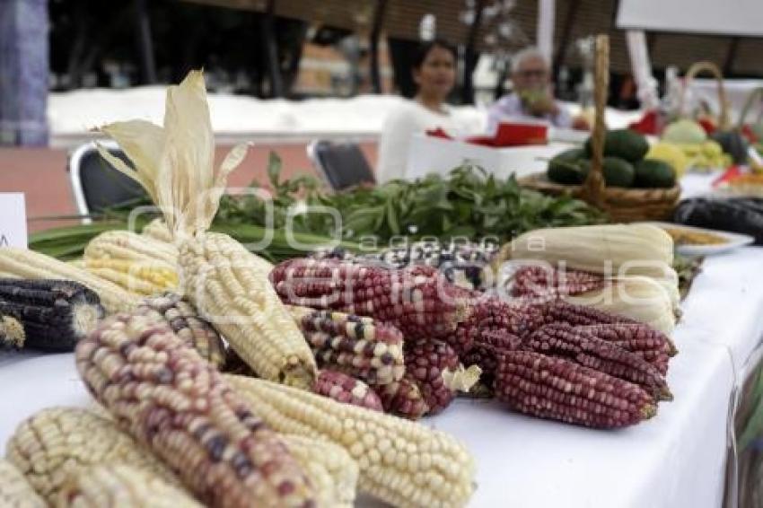 ENCUENTRO CAMPESINO MUNICIPAL