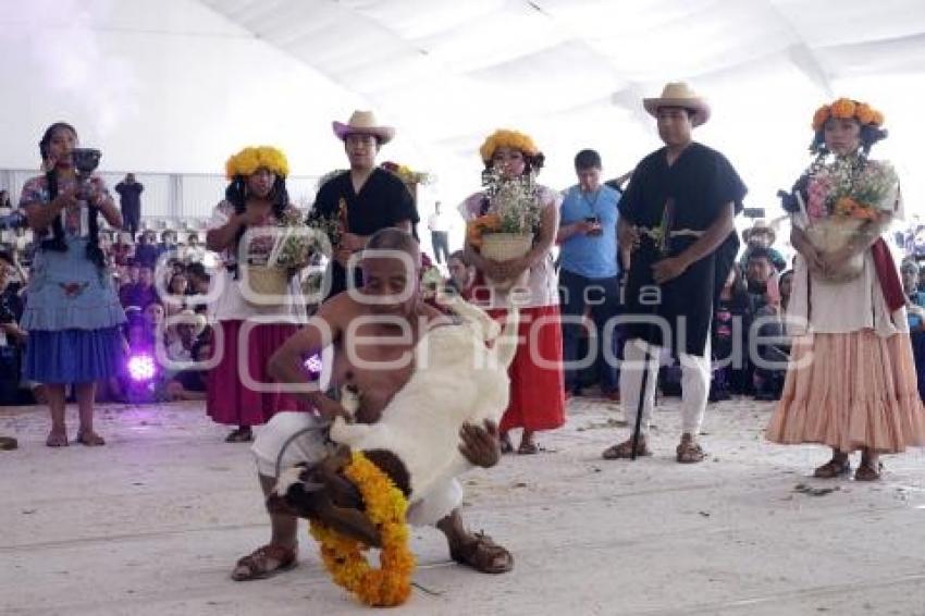 TEHUACÁN . MOLE DE CADERAS