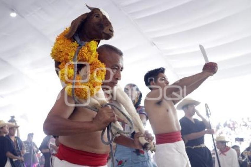 TEHUACÁN . MOLE DE CADERAS