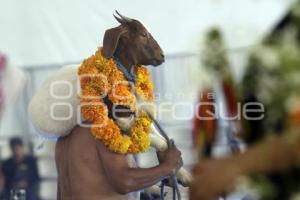 TEHUACÁN . MOLE DE CADERAS