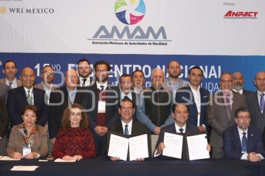 CONFORMACIÓN DE LA AMAM