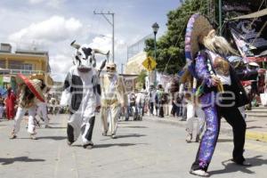 TECUANES . ACATLÁN