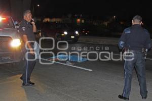 ATROPELLADO EN AUTOPISTA