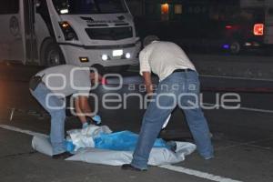 ATROPELLADO EN AUTOPISTA