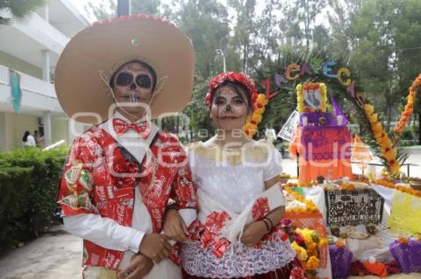 CONCURSO DE OFRENDAS . RECICLAJE