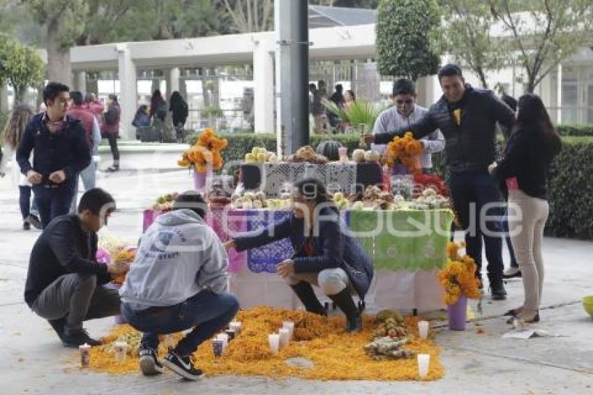 CONCURSO DE OFRENDAS . RECICLAJE