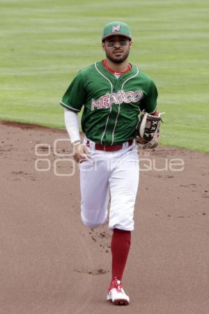 BEISBOL . GIGANTES DE LATINOAMÉRICA