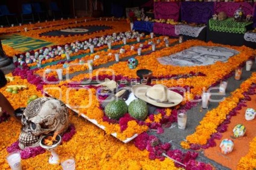 OFRENDA PREPA ZAPATA