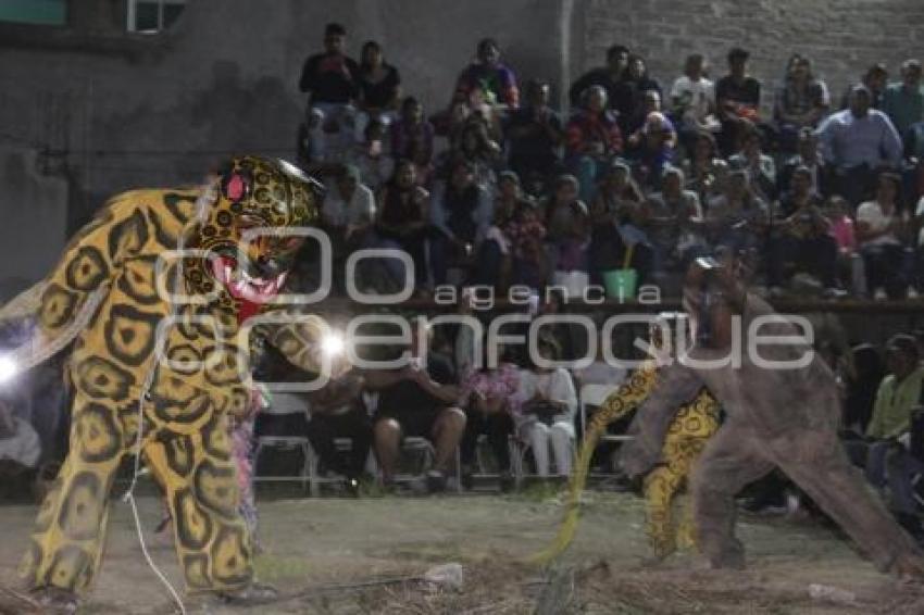 ACATLÁN . MUERTE DEL TIGRE