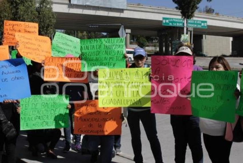 MANIFESTACIÓN . LA GUADALUPANA