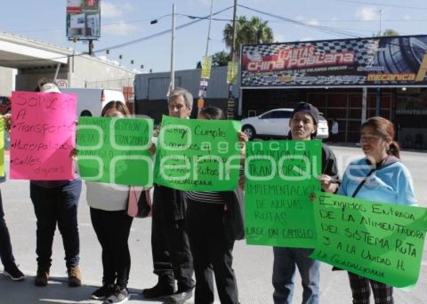 MANIFESTACIÓN . LA GUADALUPANA