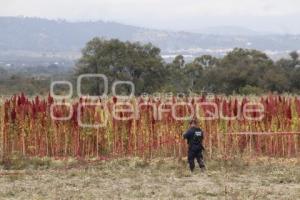 NOTA ROJA . CADÁVER