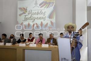 CONSULTA PUEBLOS INDÍGENAS