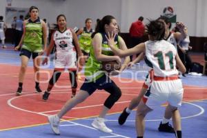 LIGA NACIONAL ESTUDIANTIL DE BALONCESTO