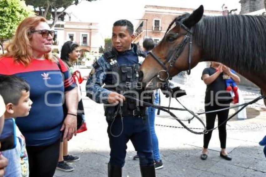 POLICIA MONTADA