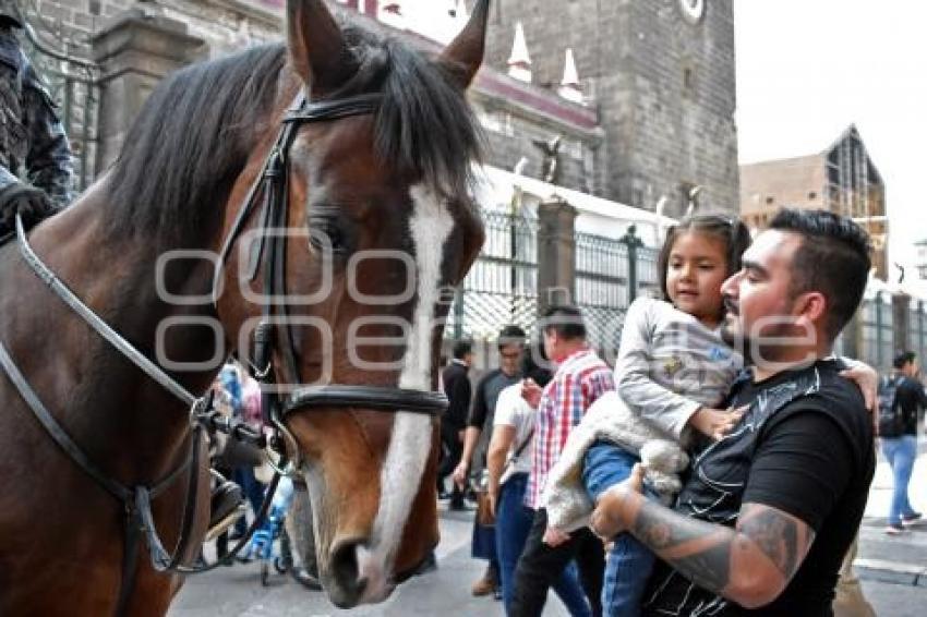 POLICIA MONTADA