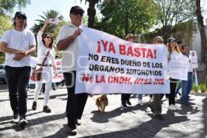 MARCHA ANTI AMLO