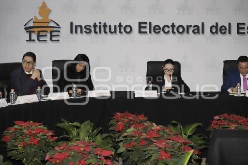 IEE . PLEBISCITOS 2019