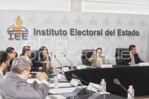 IEE . PLEBISCITOS 2019