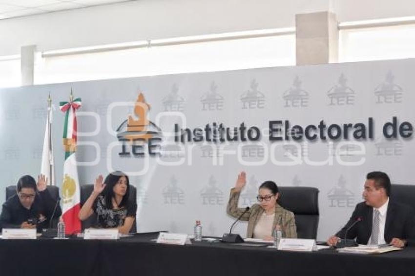 IEE . PLEBISCITOS 2019