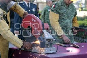 GOBIERNO . DESTRUCCIÓN MASIVA DE ARMAS