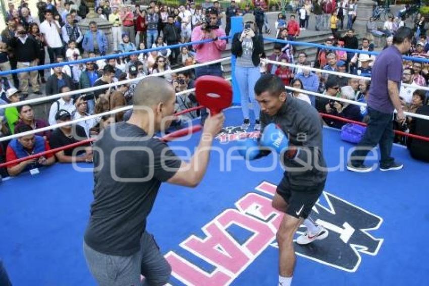 ENTRENAMIENTO PÚBLICO BOX