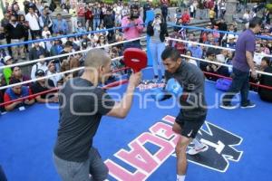 ENTRENAMIENTO PÚBLICO BOX