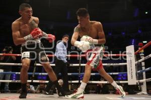 BOX . EMANUEL NAVARRETE VS FRANCISCO HORTA