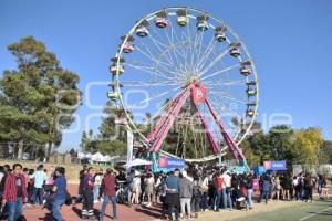 FESTIVAL CATRINA 2019