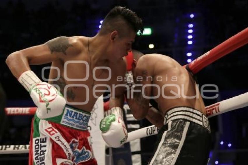 BOX . EMANUEL NAVARRETE VS FRANCISCO HORTA