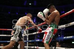 BOX . EMANUEL NAVARRETE VS FRANCISCO HORTA