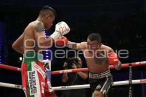 BOX . EMANUEL NAVARRETE VS FRANCISCO HORTA