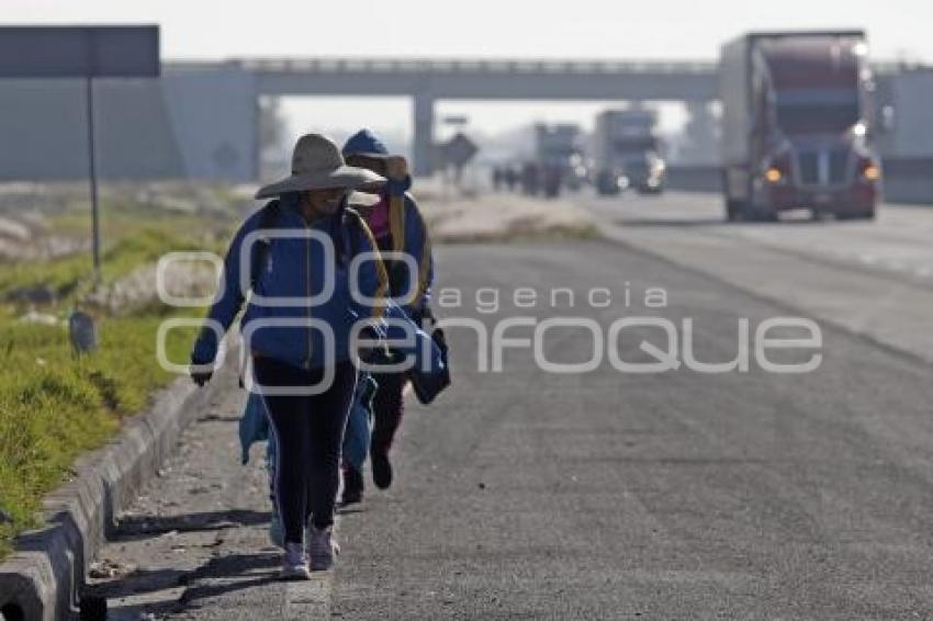 PEREGRINOS . AUTOPISTA