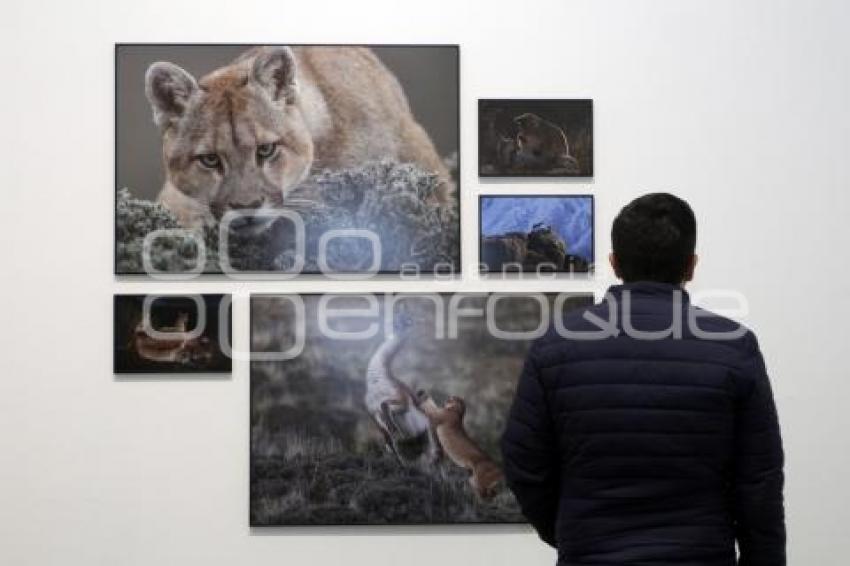 WORLD PRESS PHOTO