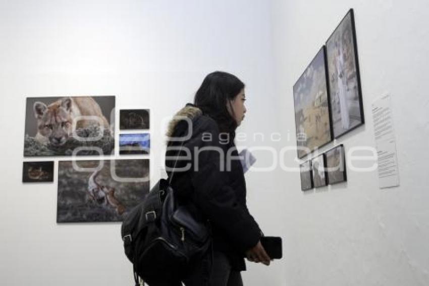 WORLD PRESS PHOTO