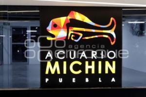 ACUARIO MICHIN