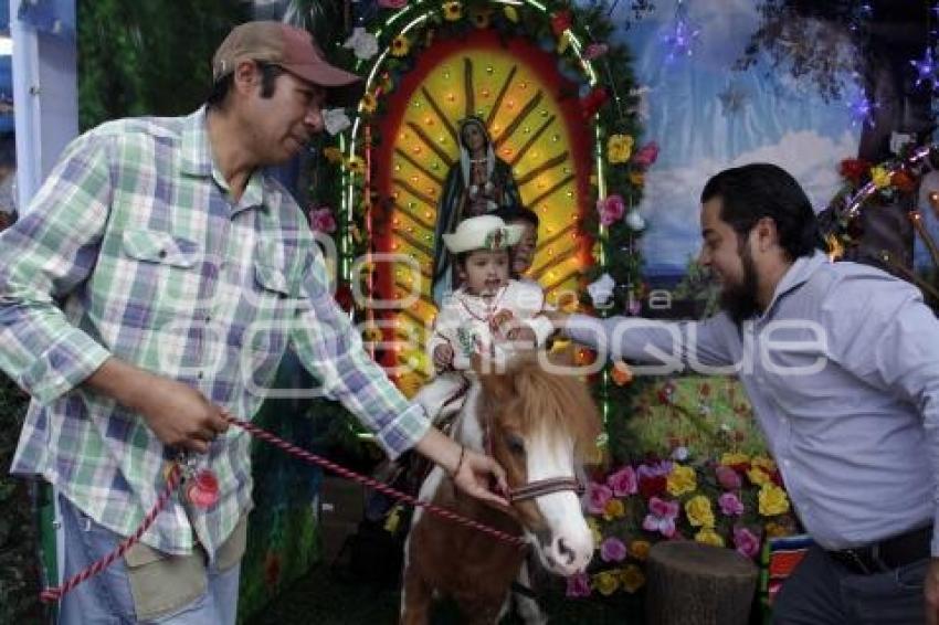 VIRGEN DE GUADALUPE . LA VILLITA