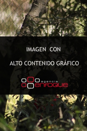 NOTA ROJA