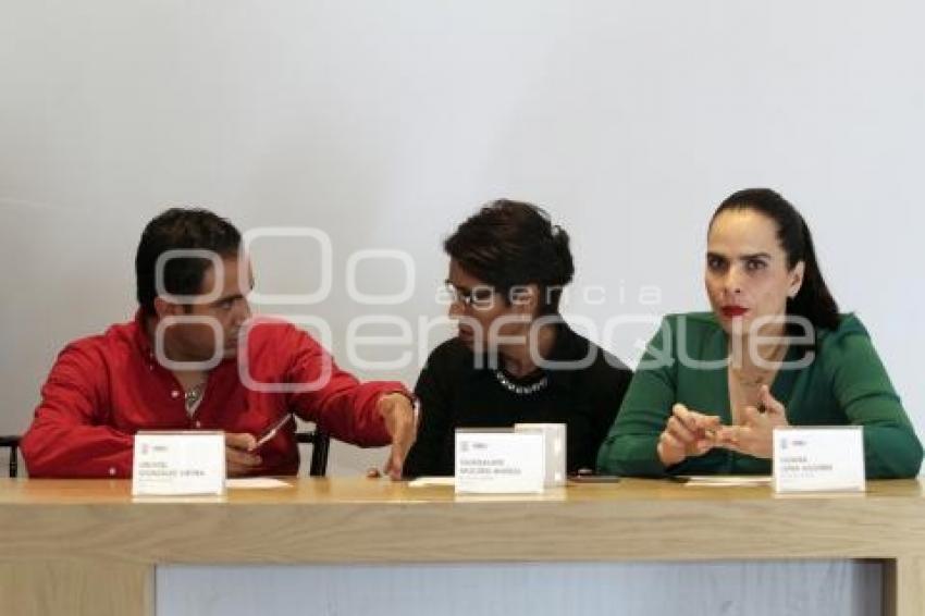 CONGRESO . COMISIÓN PERMANENTE