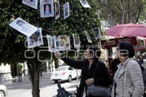 ÁRBOL DESAPARECIDOS