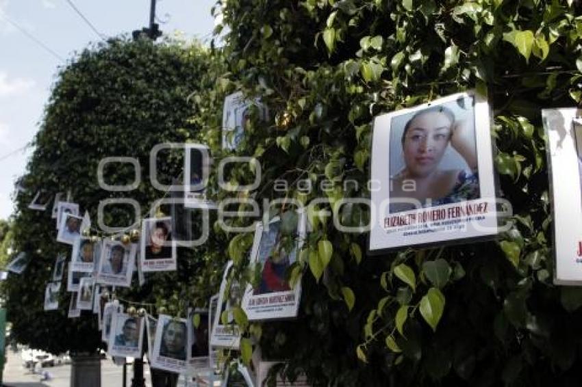 ÁRBOL DESAPARECIDOS