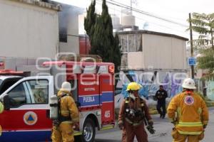 INCENDIO . BOSQUES DE AMALUCAN