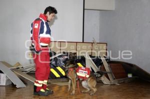 CRUZ ROJA . CERTIFICACIÓN K9